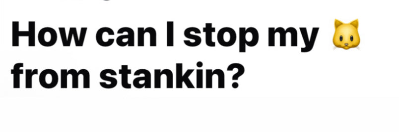 Don't hide that coochie, divide that coochie